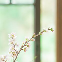 古我邸の写真14枚目