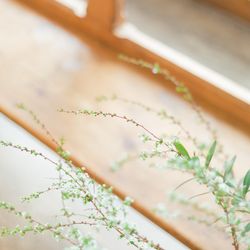 古我邸の写真23枚目