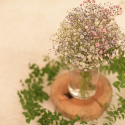 マリエール神水苑の写真11枚目