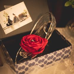 神戸迎賓館 旧西尾邸 の写真10枚目