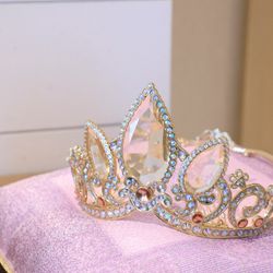 ザ・プレミアムレジデンス ラグナヴェール広島の写真14枚目