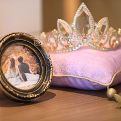 ザ・プレミアムレジデンス ラグナヴェール広島の写真26枚目