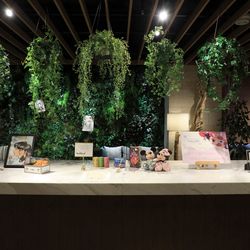 ザ・プレミアムレジデンス ラグナヴェール広島の写真22枚目