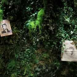 ザ・プレミアムレジデンス ラグナヴェール広島の写真7枚目