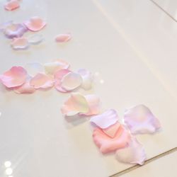 ザ・プレミアムレジデンス ラグナヴェール広島の写真19枚目