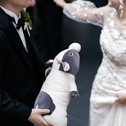 SOLA KOBEの写真12枚目