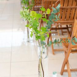 アマンダンテラスの写真10枚目