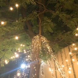 アールベルアンジェ札幌の写真27枚目