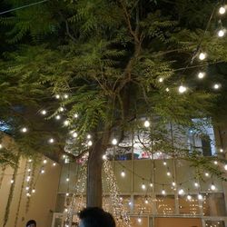 アールベルアンジェ札幌の写真19枚目