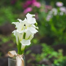 鶴見ノ森 迎賓館の写真31枚目