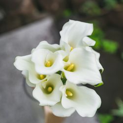 鶴見ノ森 迎賓館の写真24枚目