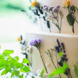 鶴見ノ森 迎賓館の写真18枚目