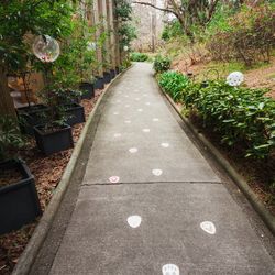 鶴見ノ森 迎賓館の写真36枚目