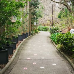 鶴見ノ森 迎賓館の写真28枚目