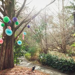 鶴見ノ森 迎賓館の写真33枚目