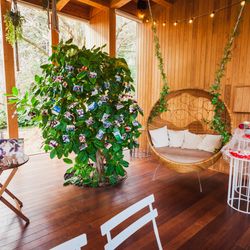 鶴見ノ森 迎賓館の写真8枚目