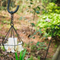 鶴見ノ森 迎賓館の写真35枚目
