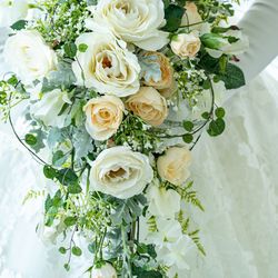 ラグナヴェール プレミア  LAGUNAVEIL PREMIERの写真2枚目