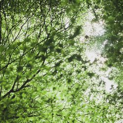 ハウスオブ軽井沢の写真9枚目