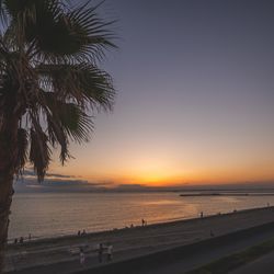 ザ・サーフ オーシャンテラスの写真8枚目