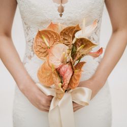 ブルーグレース大阪の写真18枚目