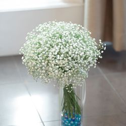 アートグレイス ウエディングコースト 東京ベイの写真18枚目