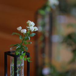 鶴見ノ森 迎賓館の写真30枚目