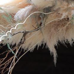 鶴見ノ森 迎賓館の写真26枚目