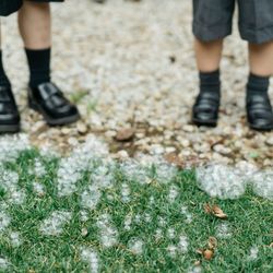 ラ・クラリエールの写真20枚目