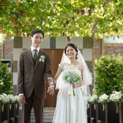 ぶどうの木の写真10枚目