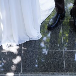 ぶどうの木の写真5枚目