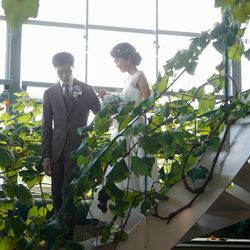 ぶどうの木の写真20枚目