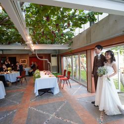 ぶどうの木の写真22枚目