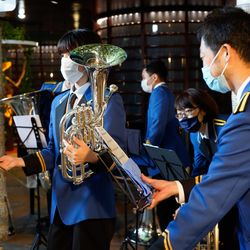 ぶどうの木の写真24枚目