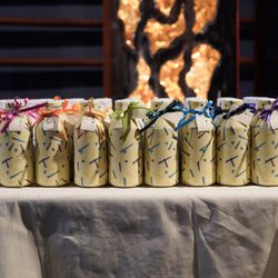 ぶどうの木の写真2枚目