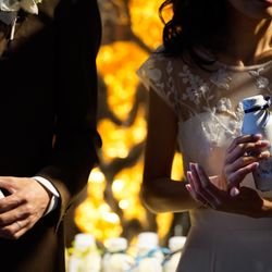 ぶどうの木の写真1枚目