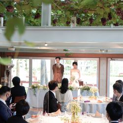 ぶどうの木の写真19枚目