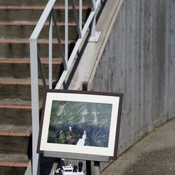 ぶどうの木の写真8枚目