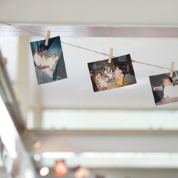 ぶどうの木の写真15枚目