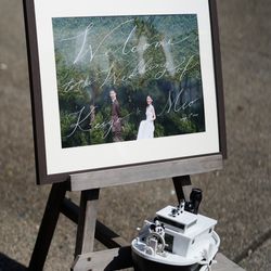 ぶどうの木の写真3枚目