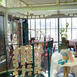 ぶどうの木の写真13枚目