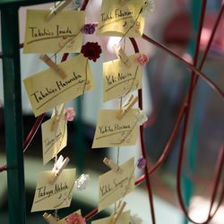 ぶどうの木の写真12枚目