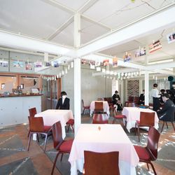 ぶどうの木の写真21枚目