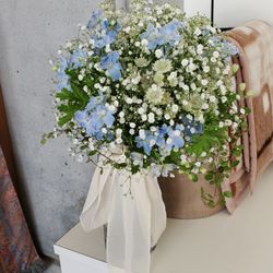 ぶどうの木の写真16枚目