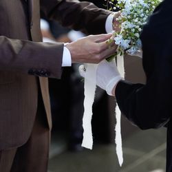 ぶどうの木の写真4枚目