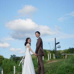 ぶどうの木の写真12枚目