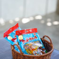 ぶどうの木の写真3枚目