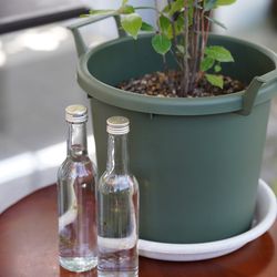 ぶどうの木の写真12枚目