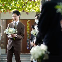 ぶどうの木の写真17枚目