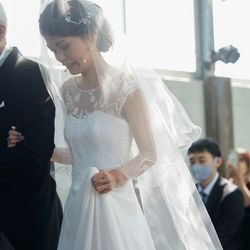 ぶどうの木の写真21枚目